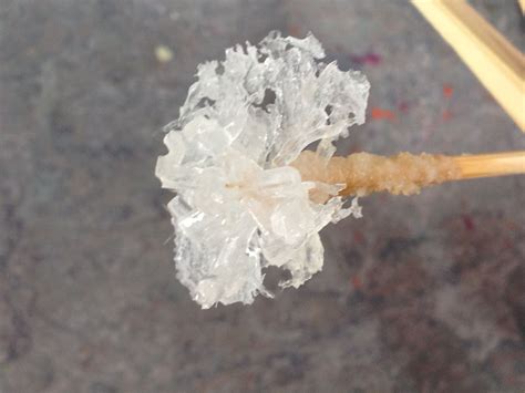 A close up of the beautiful potassium nitrate crystals grown by students from Clarkville Primary ...