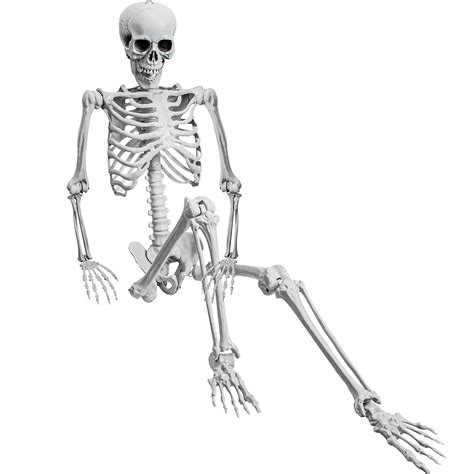 Buy Evinis 5.4ft/165cm Halloween Realistic Full Body Skeleton Life Size Human s with Movable ...