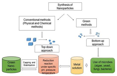 Frontiers | Exploration of Microbial Factories for Synthesis of Nanoparticles – A Sustainable ...