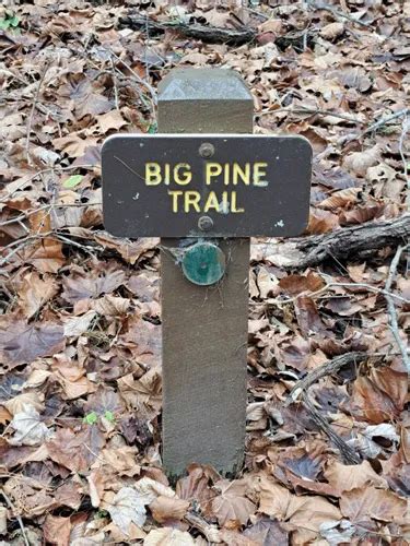 Best Hikes and Trails in Bluestone State Park | AllTrails