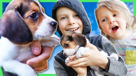 AXEL'S NEW PUPPY! - YouTube