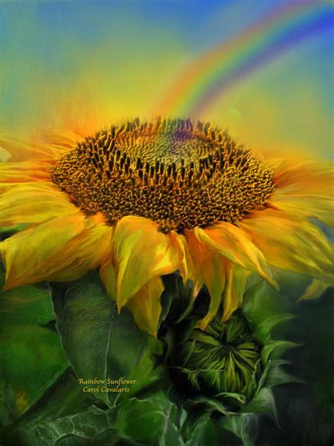 Rainbow Sunflower Mixed Media by Carol Cavalaris - Pixels