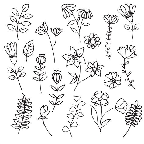 vector drawing in doodle style, cute flowers and plants, hand drawn ...