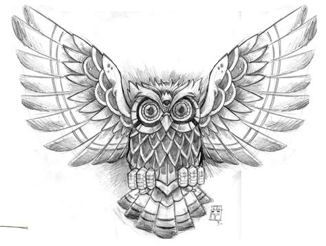 Download Animal Owl Wallpaper