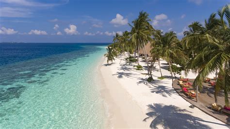 Maldive Eco Resort - maldive islands resort