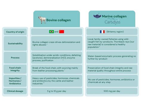 Dive into Collagen: Marine VS Bovine - Let's Compare! - Innovactiv