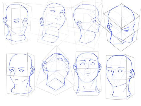 Animopus Head Prespective Reference Drawing The Human - vrogue.co