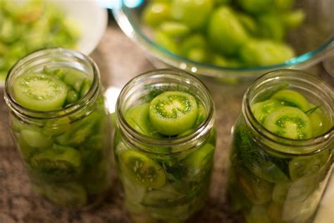 Canning Green Tomato Pickles | Pickles, Homemade pickles, Sweet pickles