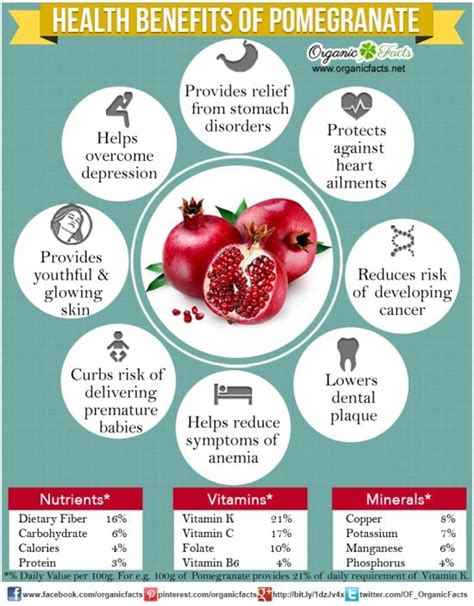 7 Amazing Benefits of Pomegranates | Organic Facts