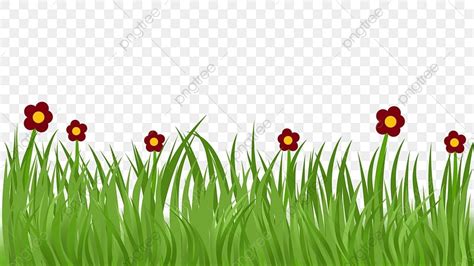 Grass Illustration PNG Transparent, Cartoon Grass Illustration, Cartoon ...