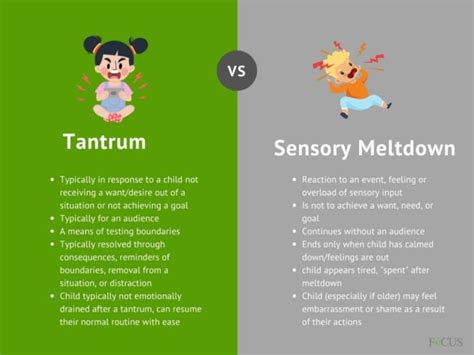 Tantrum or Sensory Meltdown? Fort Myers ABA Therapists Explain - Focus ...