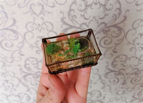 Terrarium. Aquarium with a frog. Puppet miniature. | Mini things, Diy doll miniatures, Miniatures