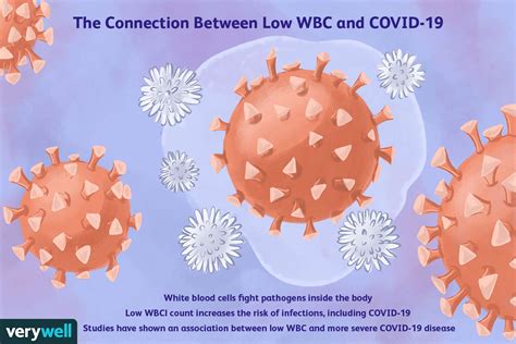 The Connection Between Low White Blood Cells and COVID