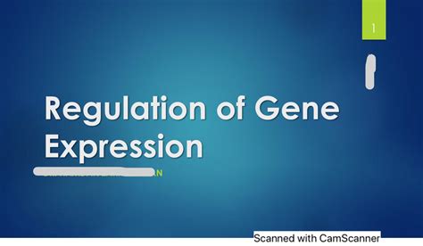 Regulation of the gene expression - Molecular Biology - Studocu