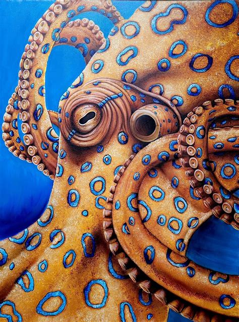 Pin by Renee Hilimire on OCTOPUSESSSS in 2024 | Octopus drawing, Octopus art drawing, Octopus art