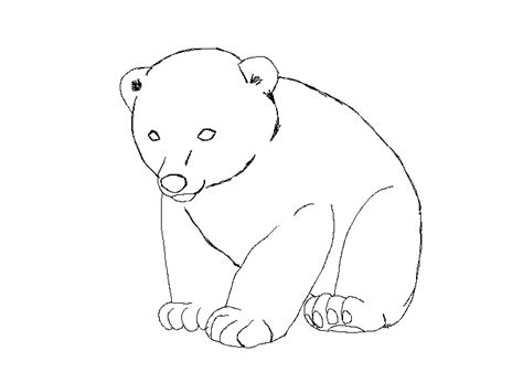 Bear Cub Lineart by ZephyrRocks on DeviantArt