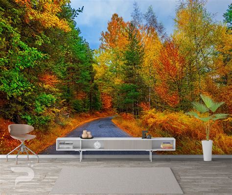 Autumn Forest WALL MURAL Forest Road Wallpaper Mural Large - Etsy