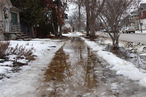 Mild weather has made for treacherous conditions on some city sidewalks ...