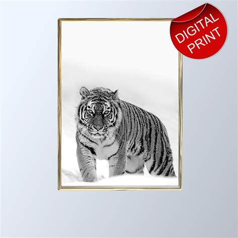 Black and White Tiger Print Digital Download. Tiger Art Printable Wall ...