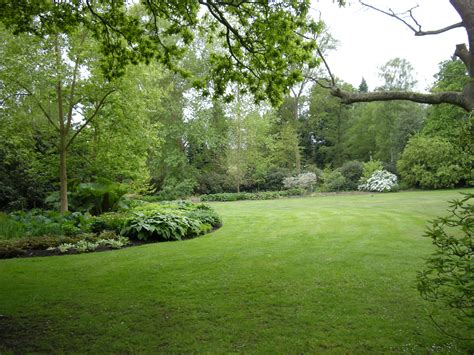 Savill Garden Windsor Visit | The Surrey Edit