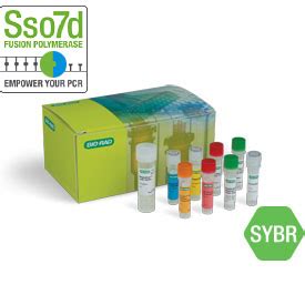 SingleShot™ SYBR® Green Kit for Cell Lysis and RT-qPCR, 100 x 50 µl ...