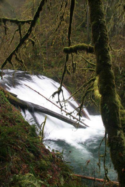 Silver Falls State Park Waterfalls Guide - World of Waterfalls