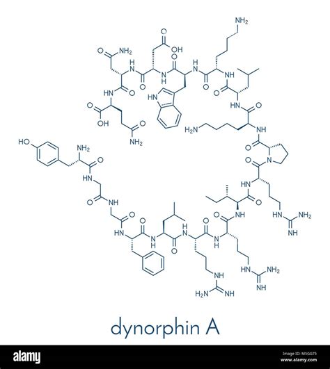 Dynorphin Stock Vector Images - Alamy