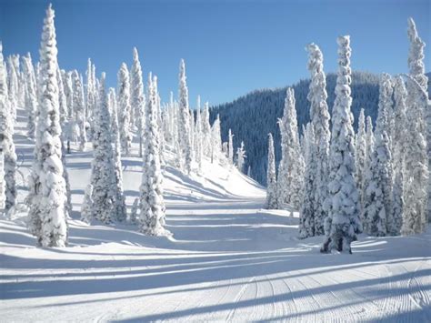 Fernie, Canada ski resort guide for Australians | Travel Agent Perth | Canada Travel Specialist ...