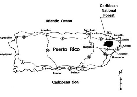 Puerto Rico (Maps) | Puerto rico map, Puerto rico, El yunque national forest