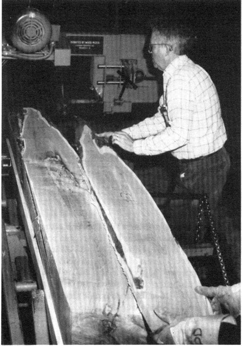 Sawing a yew log containing decay. | Download Scientific Diagram