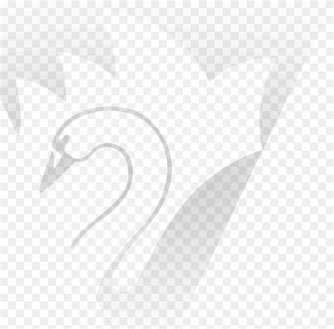 Club Watermark Sydney Swans, Animal, Bird, Swan, Person Transparent PNG ...