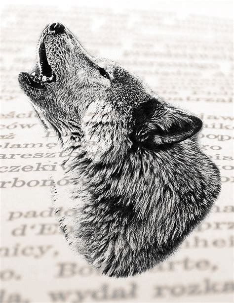 Drawings Of Wolves Howling