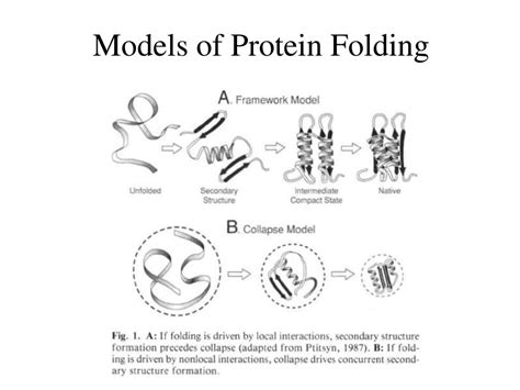 PPT - Protein Folding & Biospectroscopy Lecture 4 PowerPoint ...