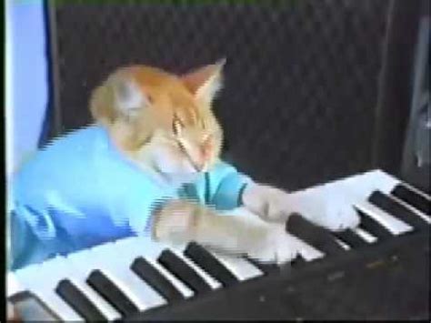 Keyboard Cat Song 1987 - YouTube