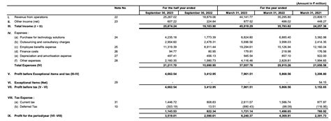 The 2024 IPO cohort is coming into focus as Shein, Reddit prep to go ...