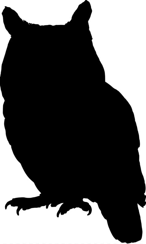 Owl Silhouette Png