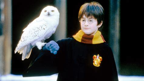 Harry Potter Theory Reveals Which Death Eater Killed Hedwig — Heartbreaking New 'Harry Potter ...