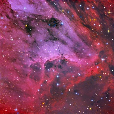 Pelican Nebula | Nebula, Hubble, Astrophotography