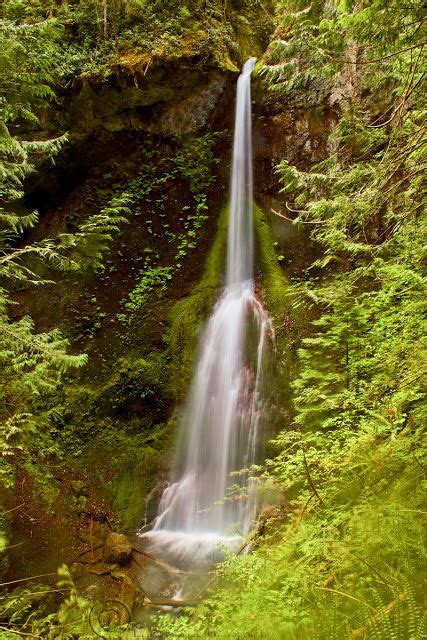 Rick Lamison Photography | Olympic national forest, National parks, National forest