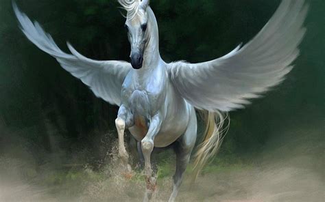 Download Majestic White Horse With Wings Wallpaper | Wallpapers.com