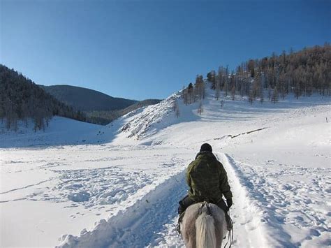 6 Tips For Riding Your Horse In The Snow – iHeartHorses.com