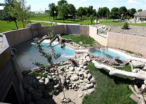 Red River Zoo Otter Exhibit – Shultz + Associates Architects