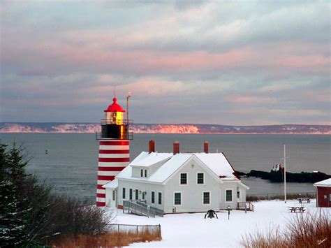 Quoddy Head State Park, a Maine State Park