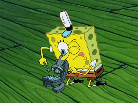 Episode 15 Microscope GIF by SpongeBob SquarePants - Find & Share on GIPHY