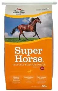 7 Best Horse Feed Brands for Horse Owners (2021)