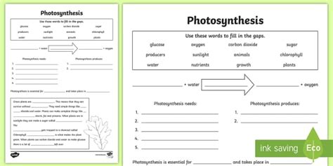 Photosynthesis KS2 Worksheet PDF (teacher made) - Twinkl