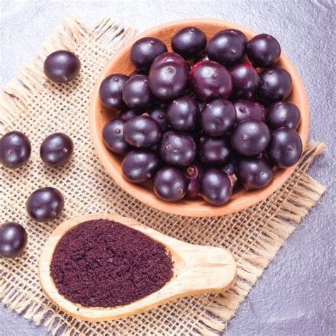 Supercharge Your Health: Unleashing the Power of Acai Berries ...