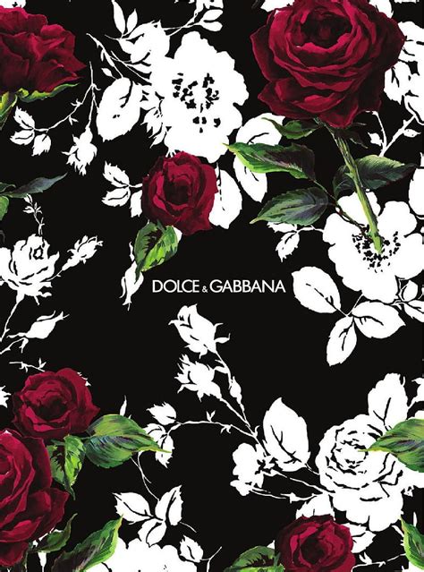 Dolce and Gabbana, designer, HD phone wallpaper | Peakpx