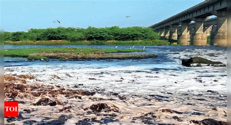 Ahmedabad Municipal Corporation's dirty secret on river pollution ...