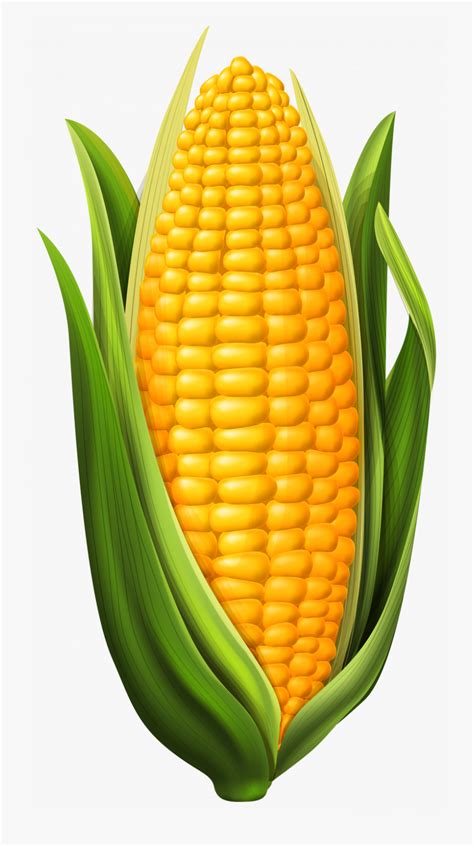 animated corn clipart 10 free Cliparts | Download images on Clipground 2024